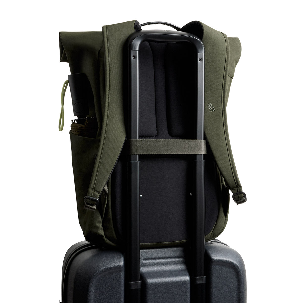 Classic Rolltop / Olive