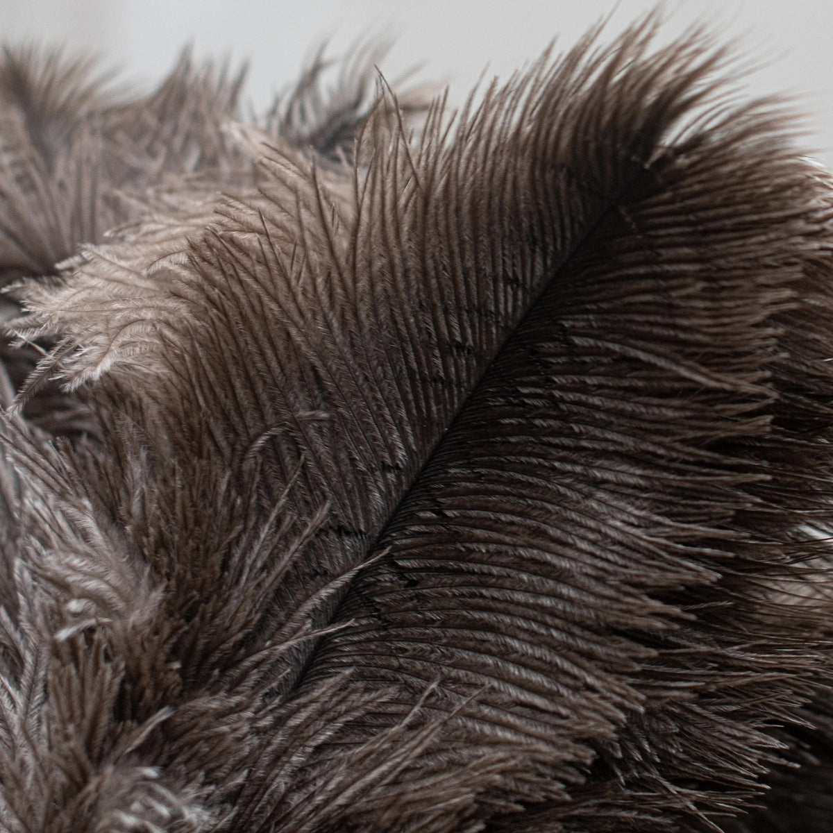 Feather Duster Black