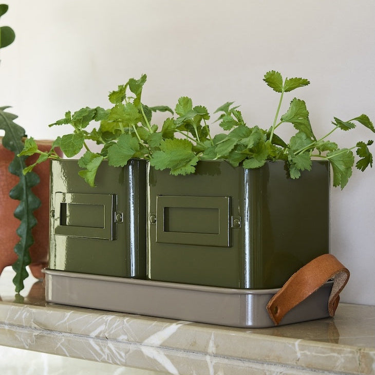Herb Pots / Olive