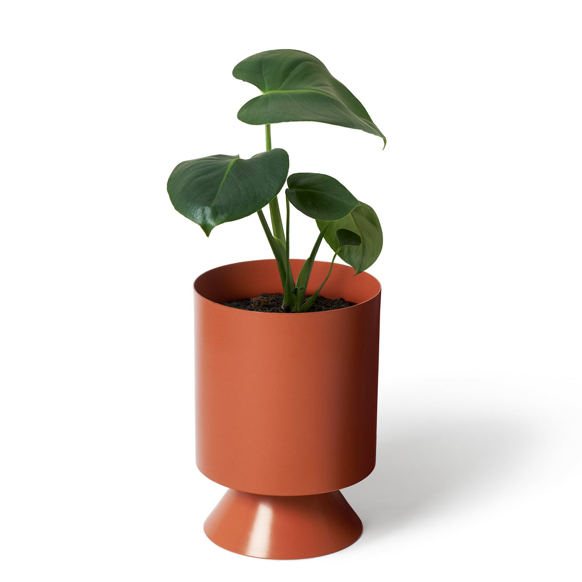 Palm Springs Planter / Burnt Sienna