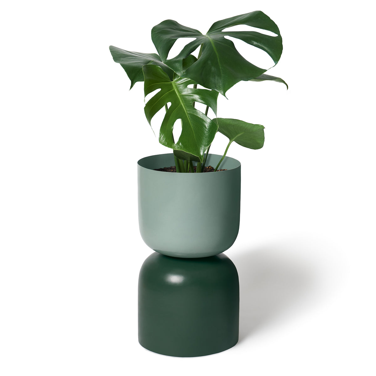 Tone Planter / Sage & Juniper