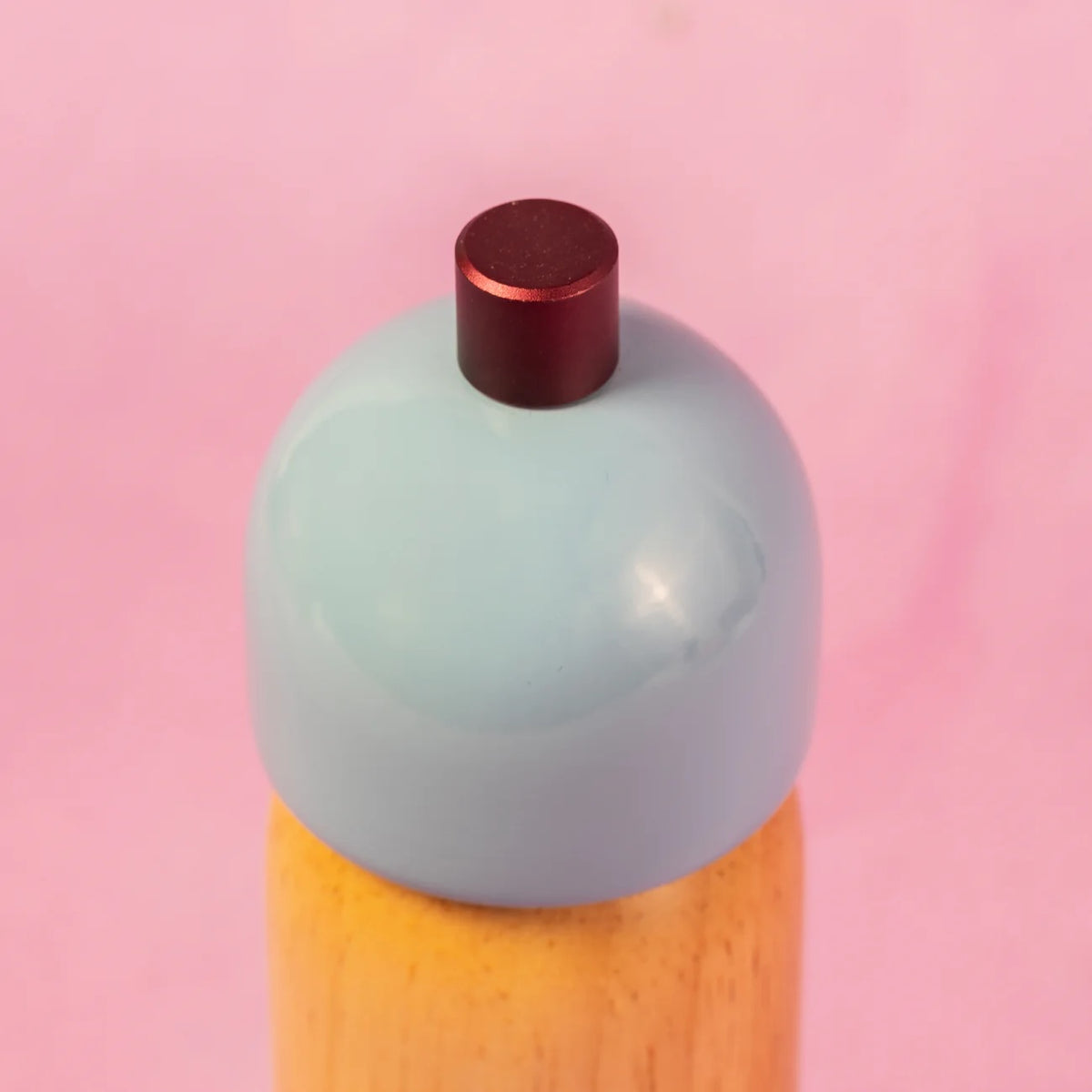 Salt & Pepper Grinder / Light Blue & Burgundy