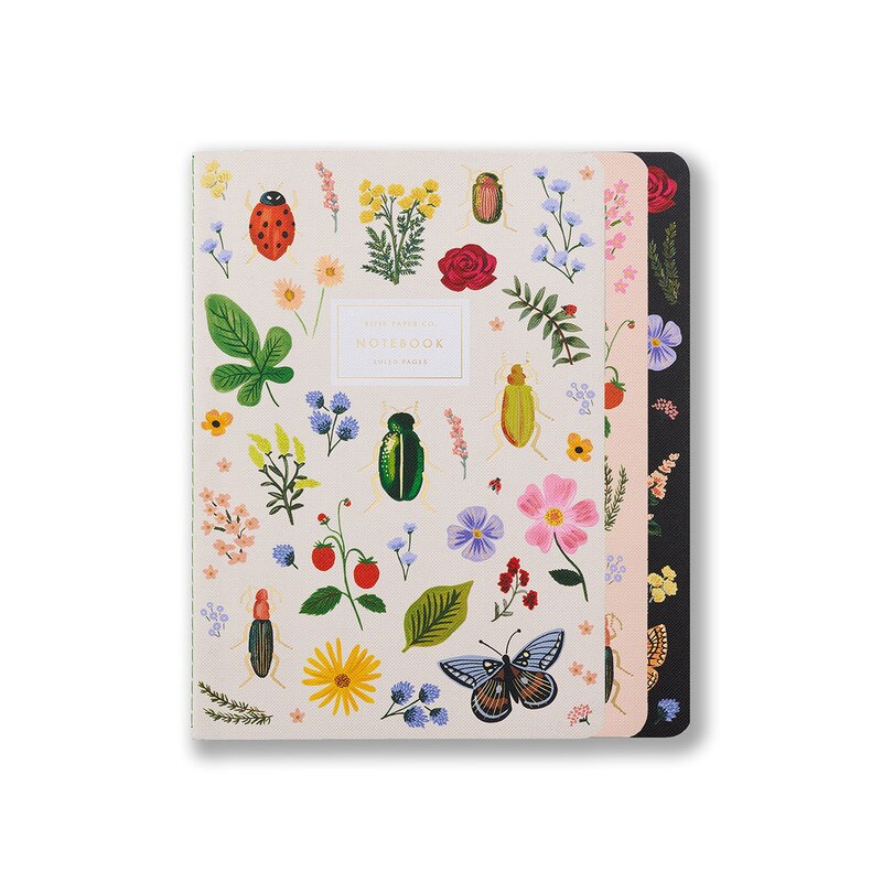 Large Notebooks 3 Pack / Curio