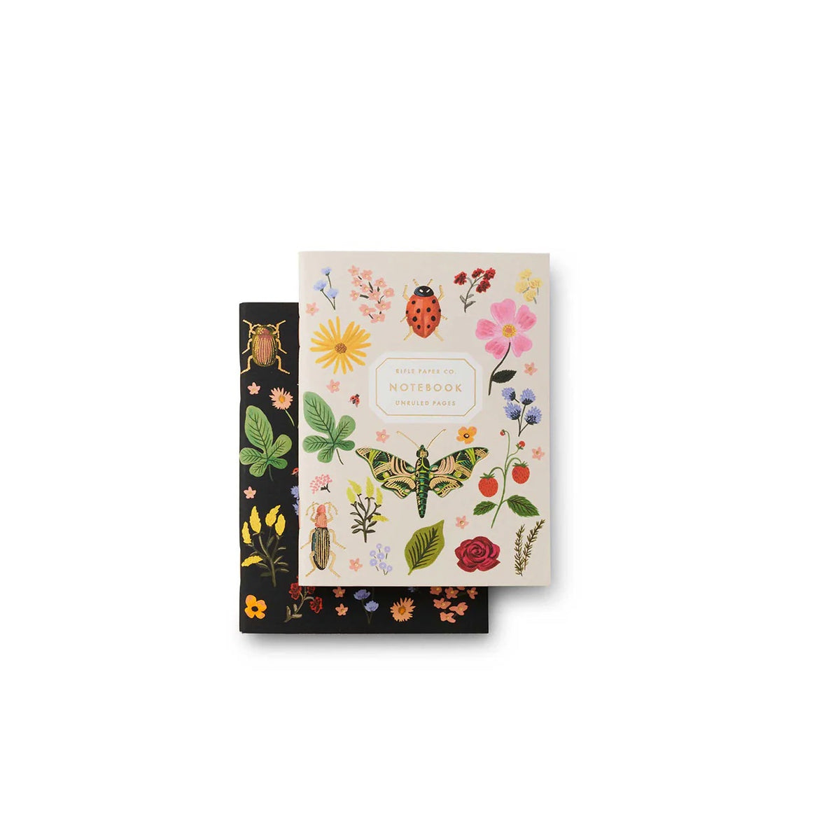 Pocket Notebooks 2 Pack / Curio