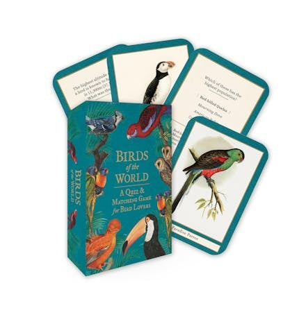Birds Of The World
