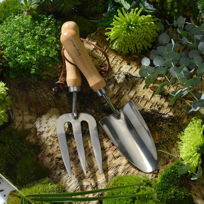 Stainless Hand Fork