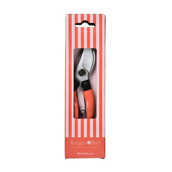Collector Bypass Secateurs / Red