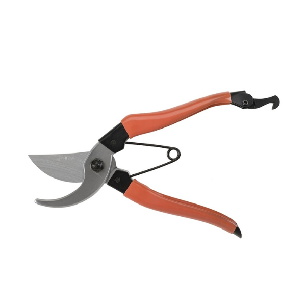 Collector Bypass Secateurs / Red