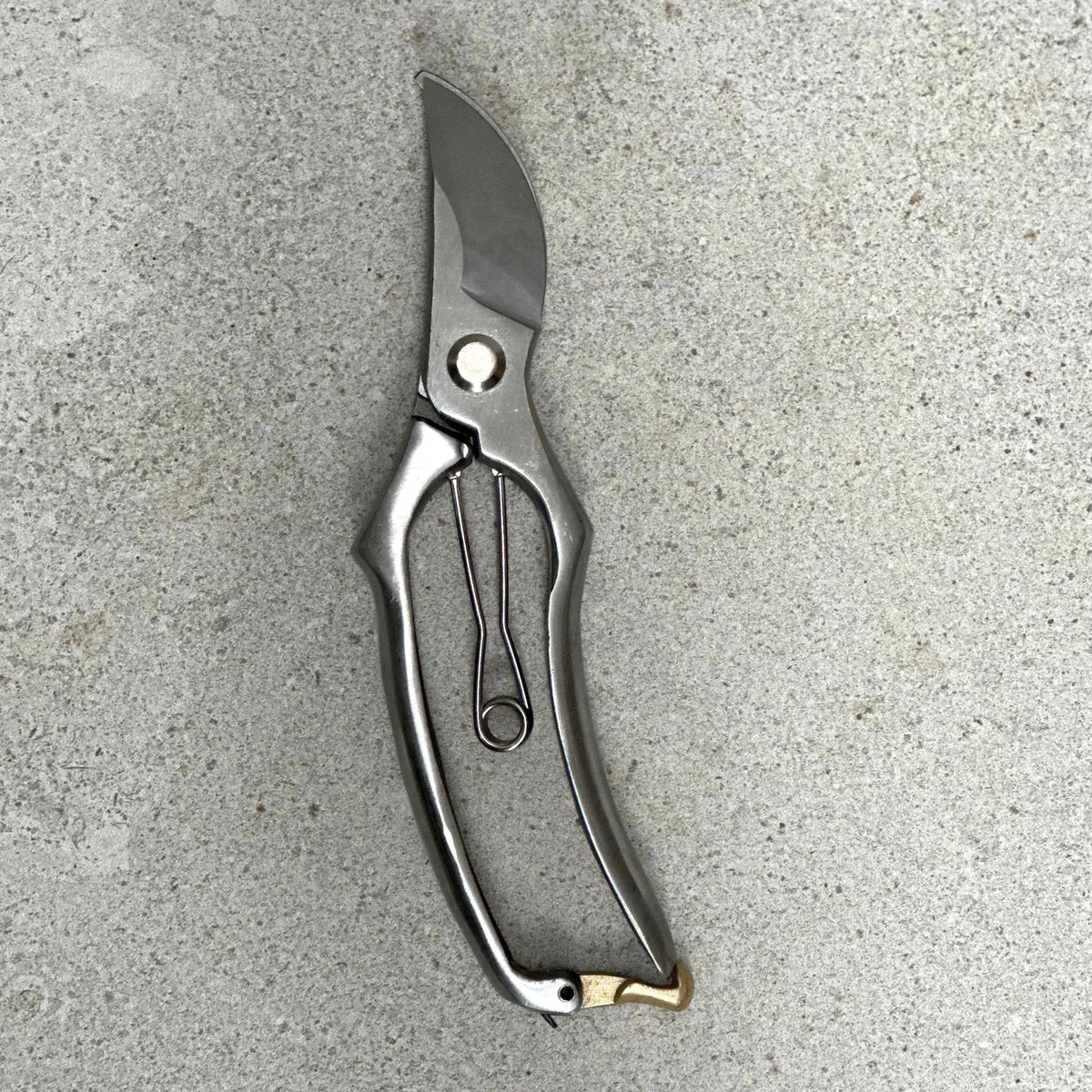 Stainless Steel Secateurs
