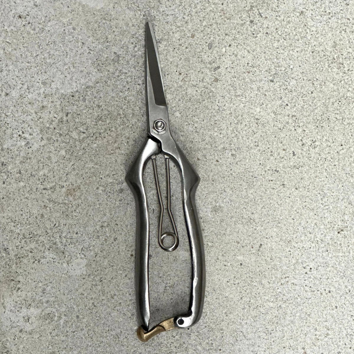 Stainless Steel Garden Snips