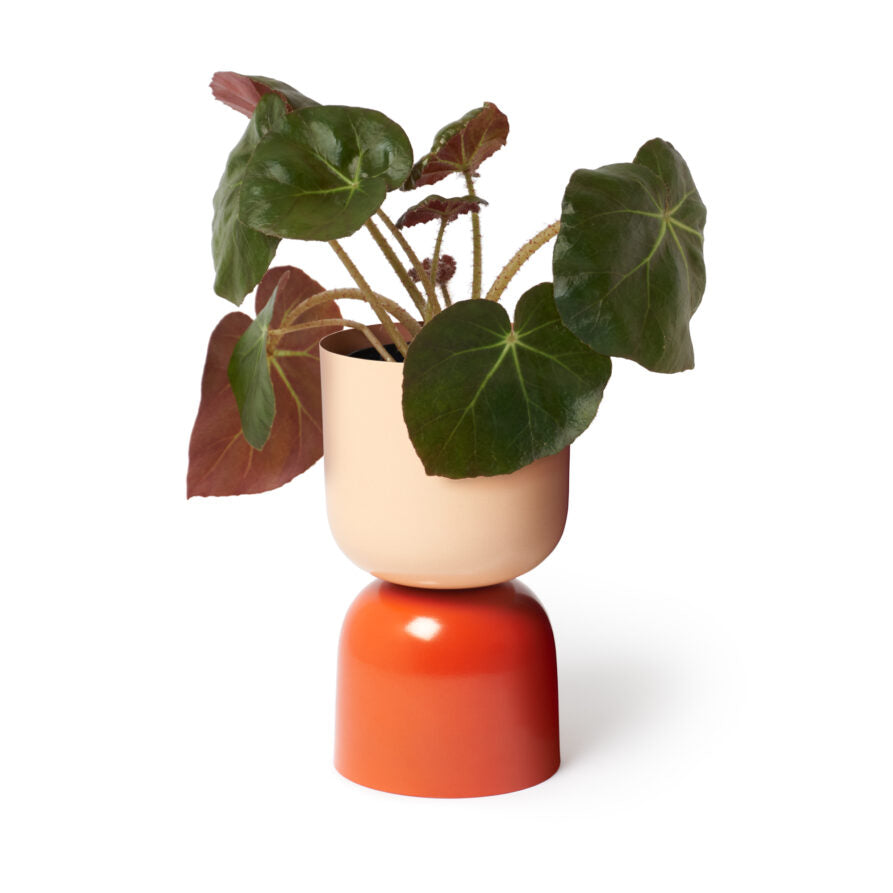 Tone Planter / Sunset