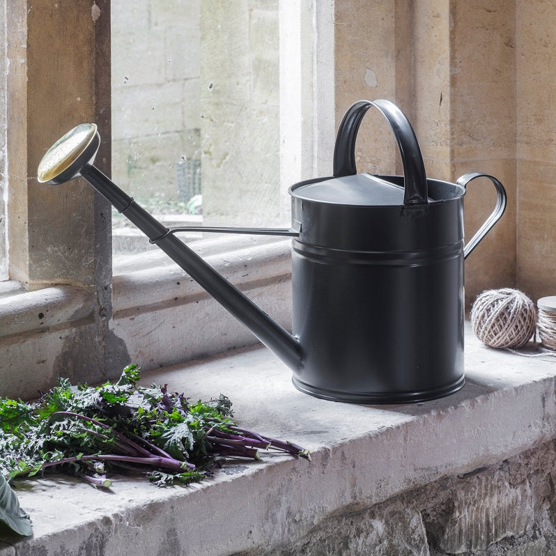 Classic Watering Can 10L / Carbon