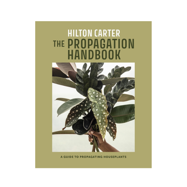 The Propagation Handbook