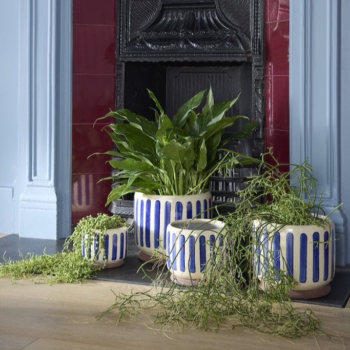 Collector Stripe Indoor Pots / Blue