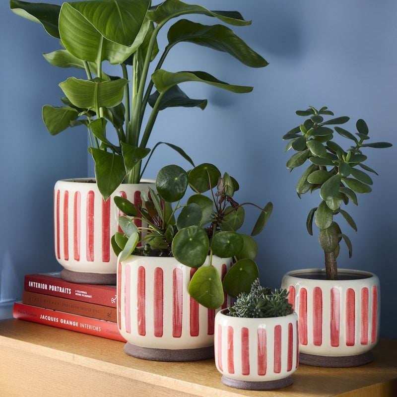 Collector Stripe Indoor Pots  / Red