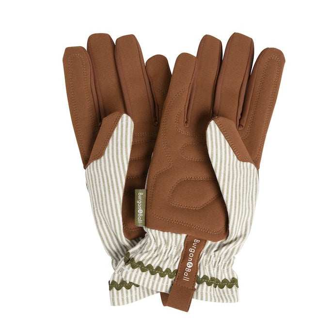 Collector Gloves / Olive Stripe