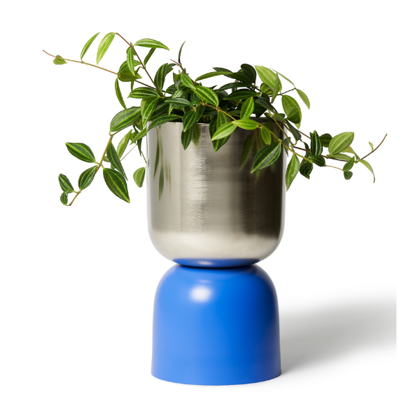 Tone Planter / Nickel & Blue
