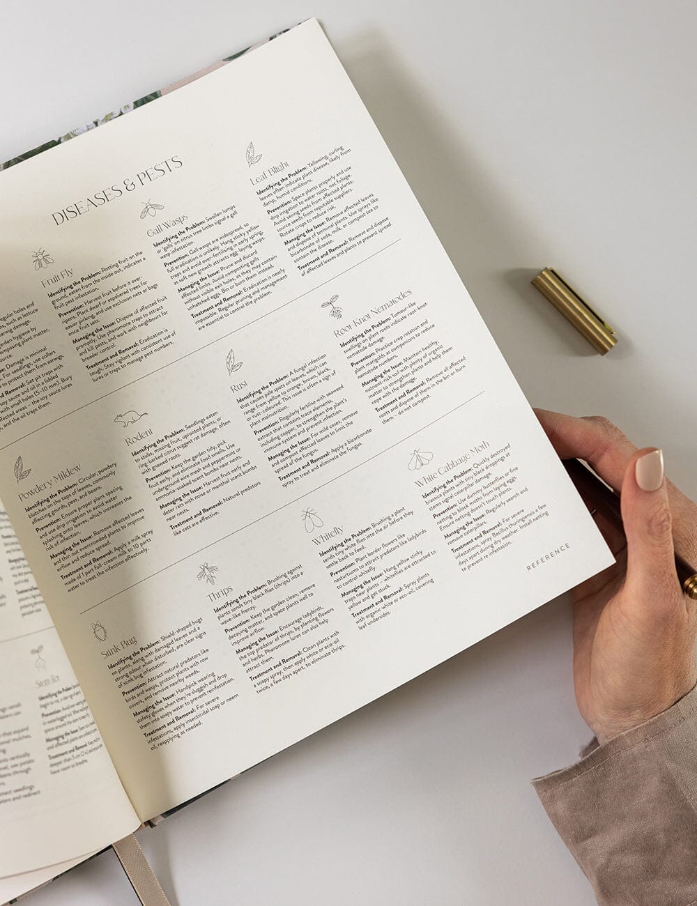 Heirloom Gardening Journal / Hydrangea