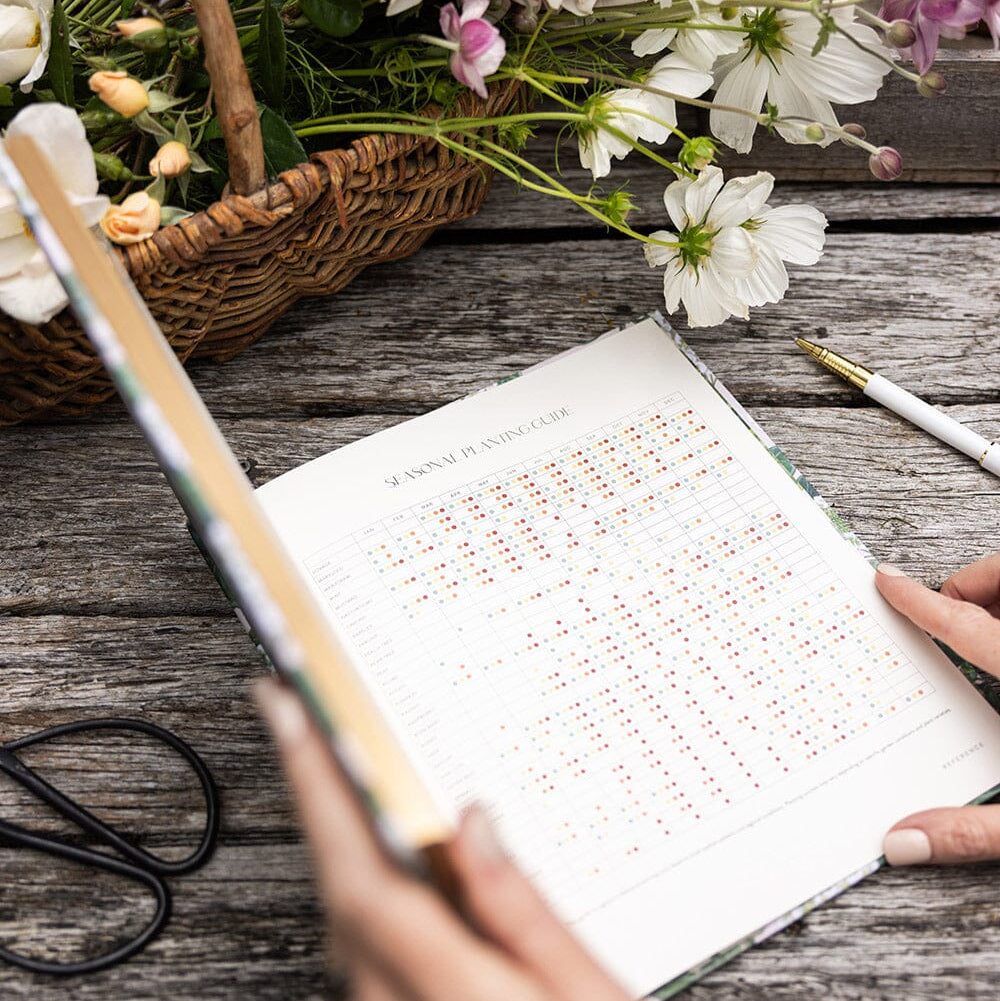 Heirloom Gardening Journal / Hydrangea