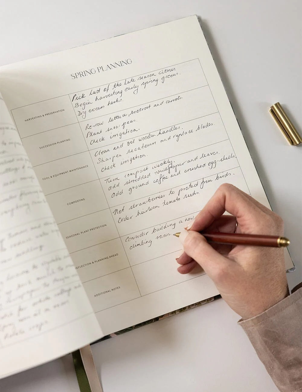 Heirloom Gardening Journal / Hydrangea