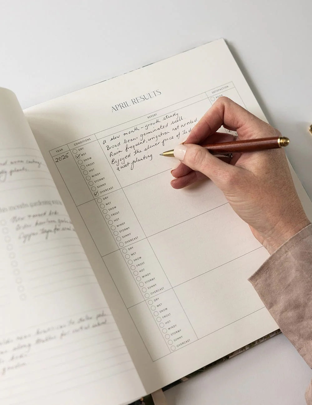 Heirloom Gardening Journal / Hydrangea