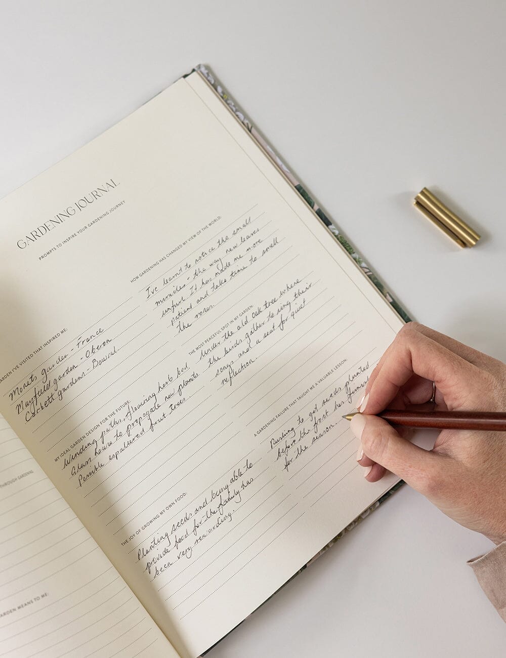Heirloom Gardening Journal / Hydrangea