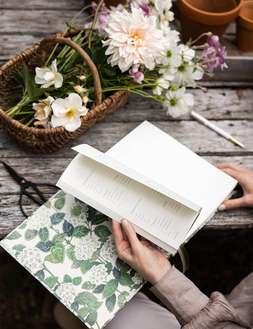 Heirloom Gardening Journal / Hydrangea
