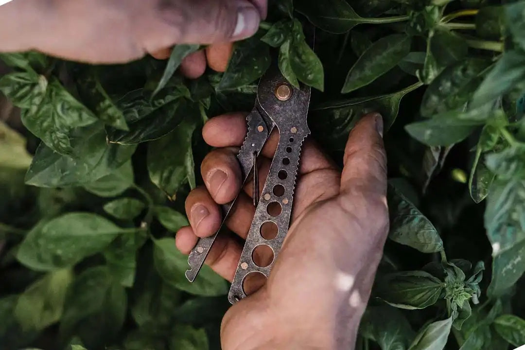 Herb Harvest Strip Tool