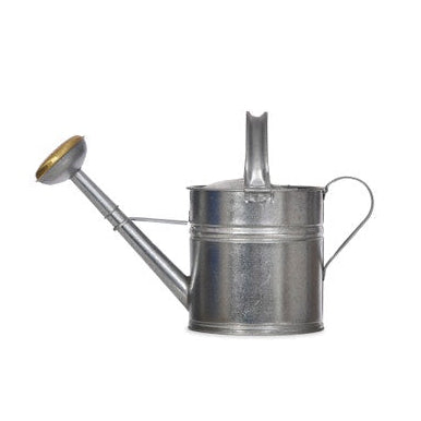 Classic Watering Can 10L / Silver