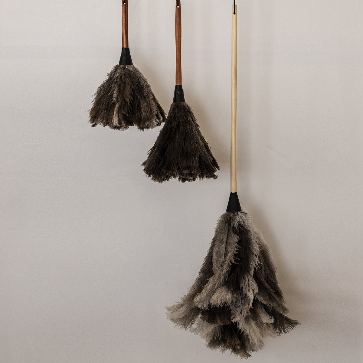 Feather Duster Black