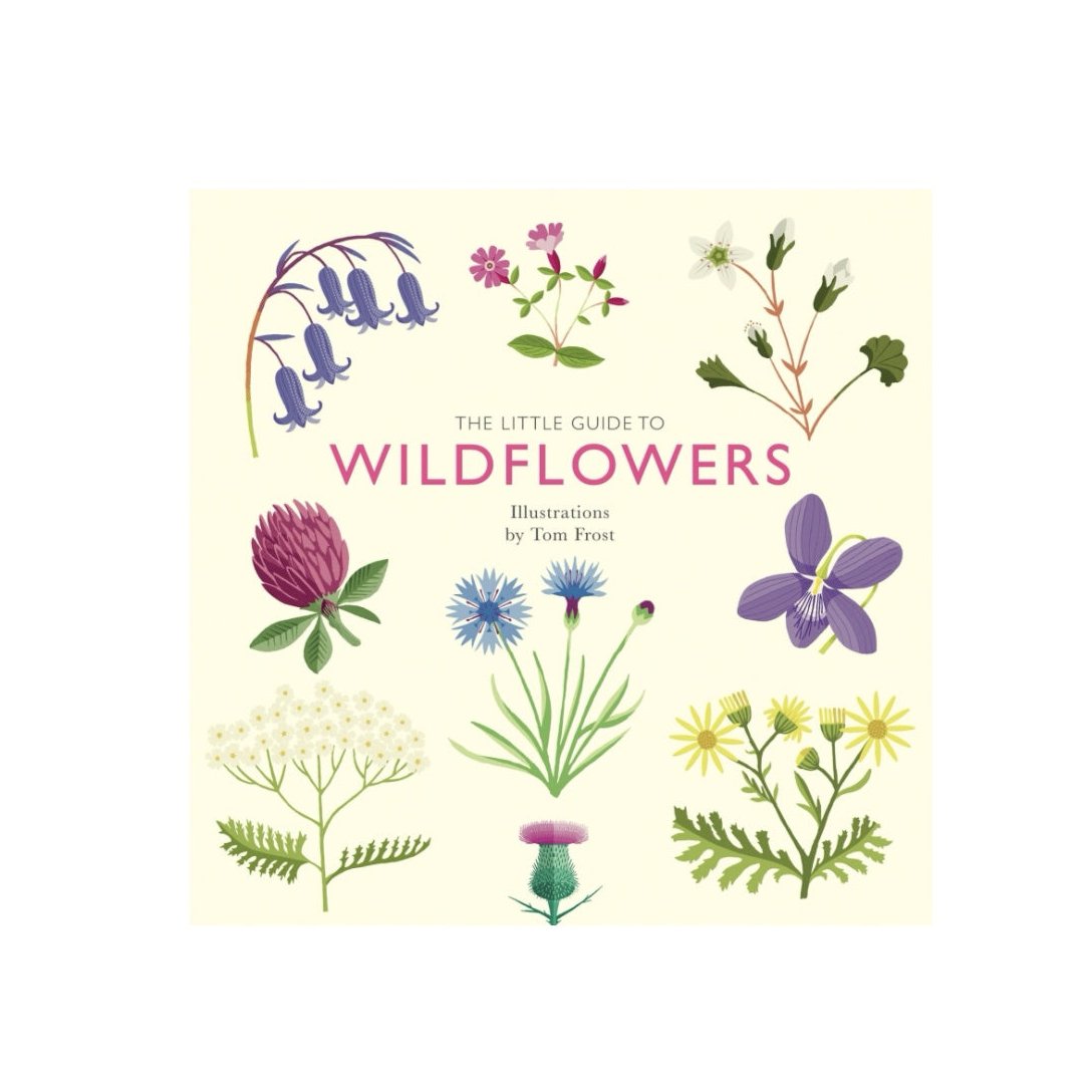 The Little Guide to Wildflowers