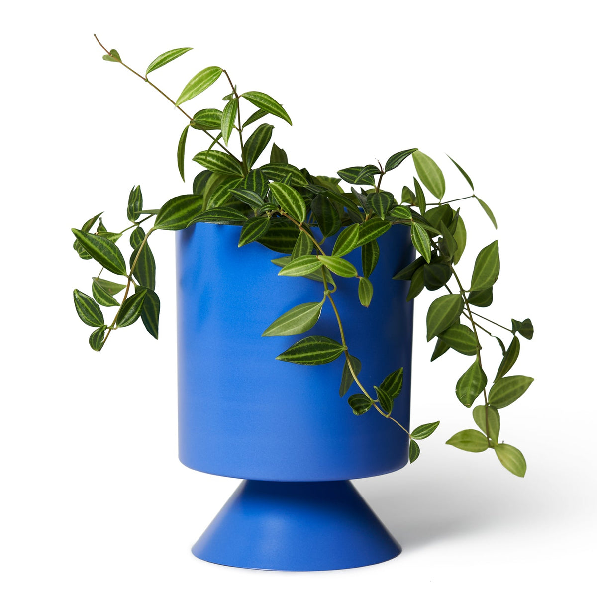 Palm Springs Planter / Blue