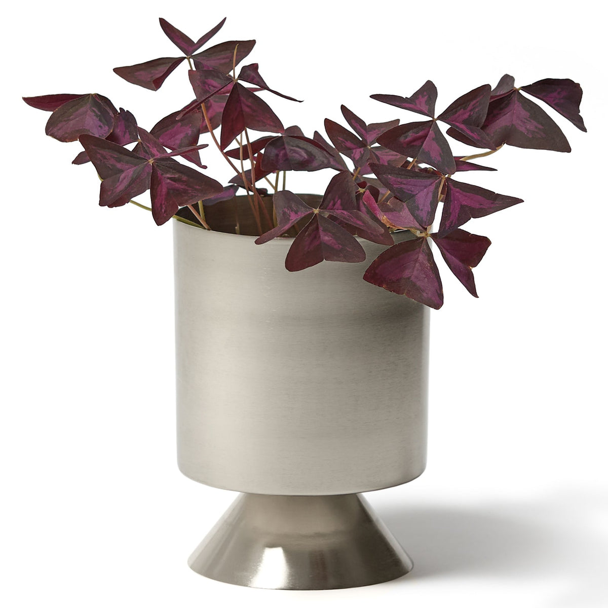 Palm Springs Planter / Nickel