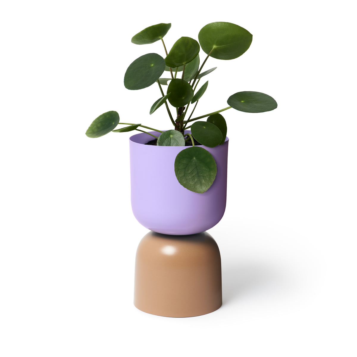 Tone Planter / Lilac & Sorrel