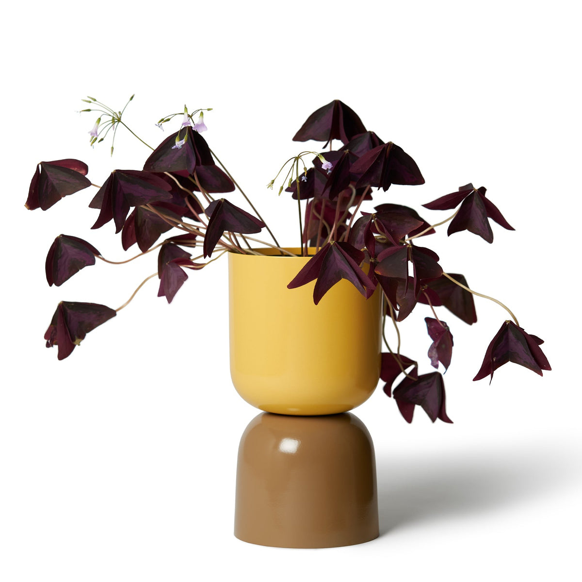Tone Planter / Mustard & Bark