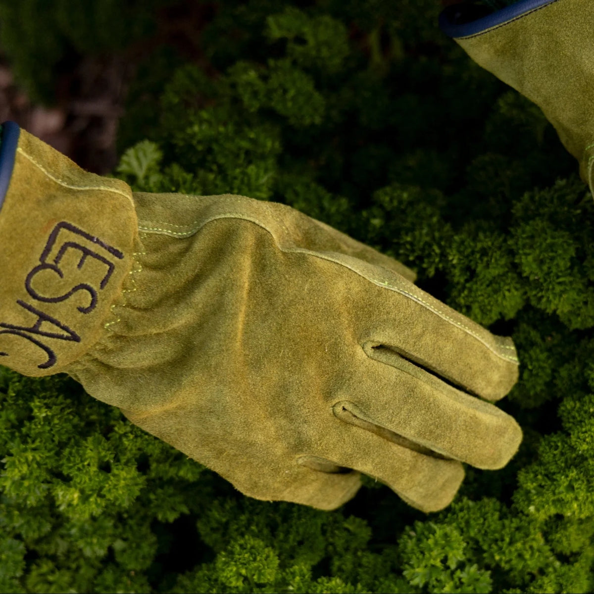 Everyday Garden Gloves / Olive