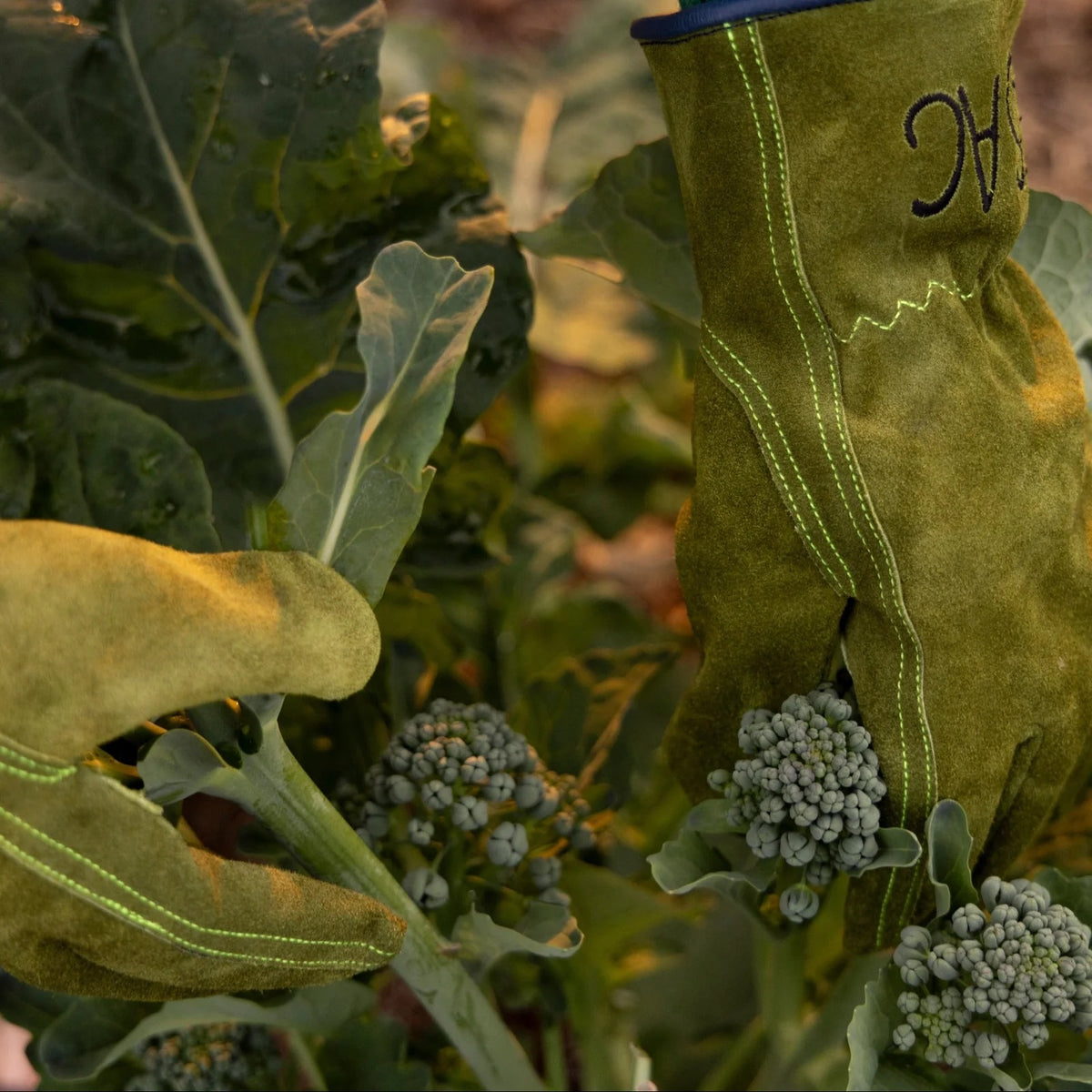 Everyday Garden Gloves / Olive