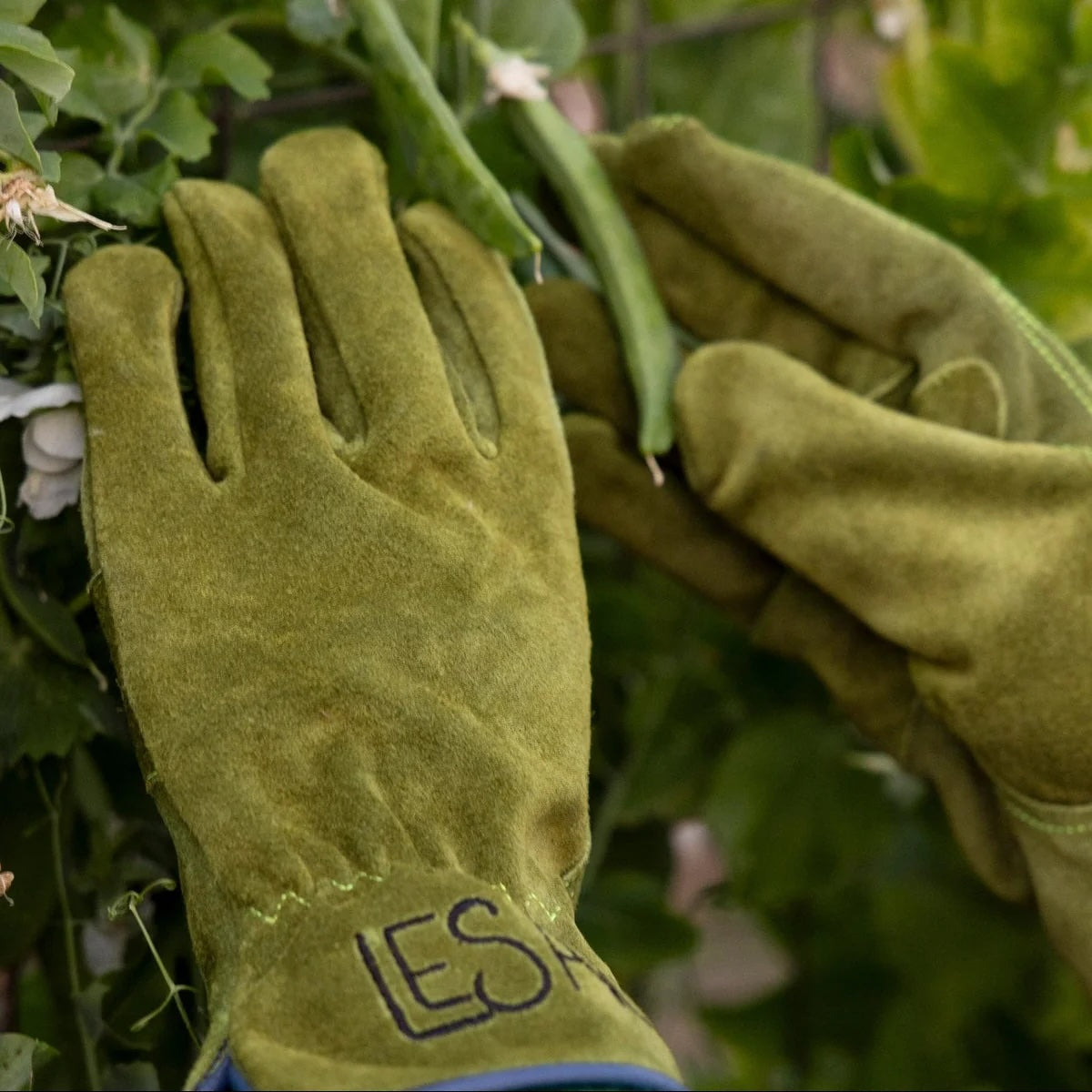 Everyday Garden Gloves / Olive