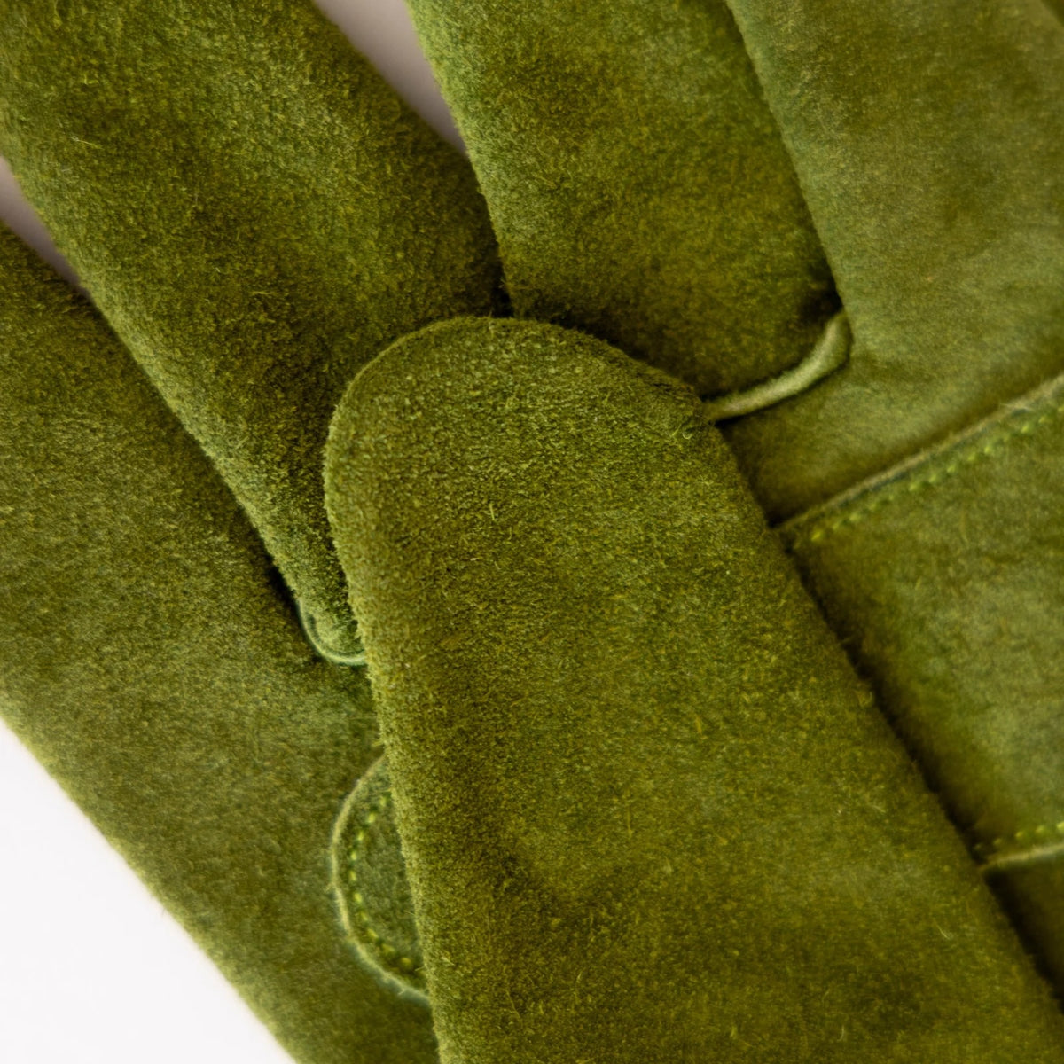 Everyday Garden Gloves / Olive