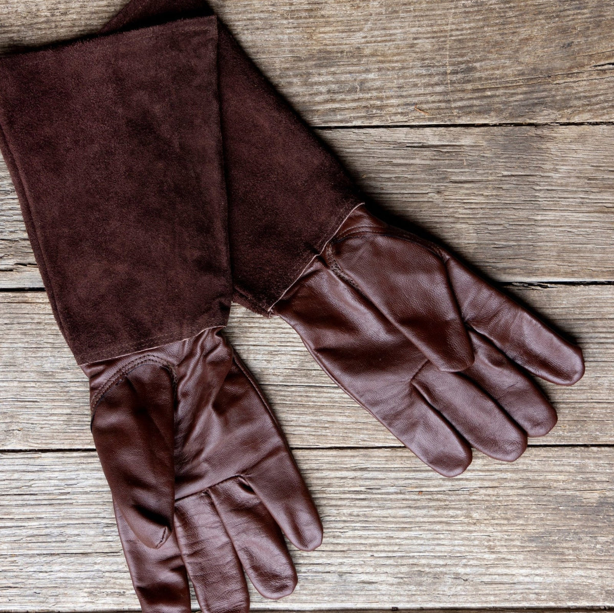 Thorn Proof Gloves / Choc