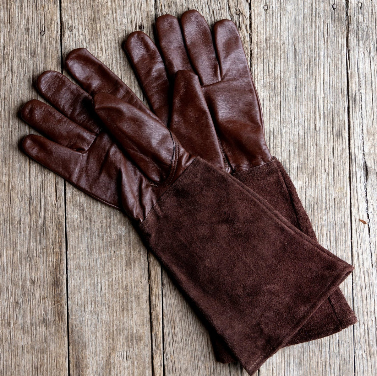 Thorn Proof Gloves / Choc