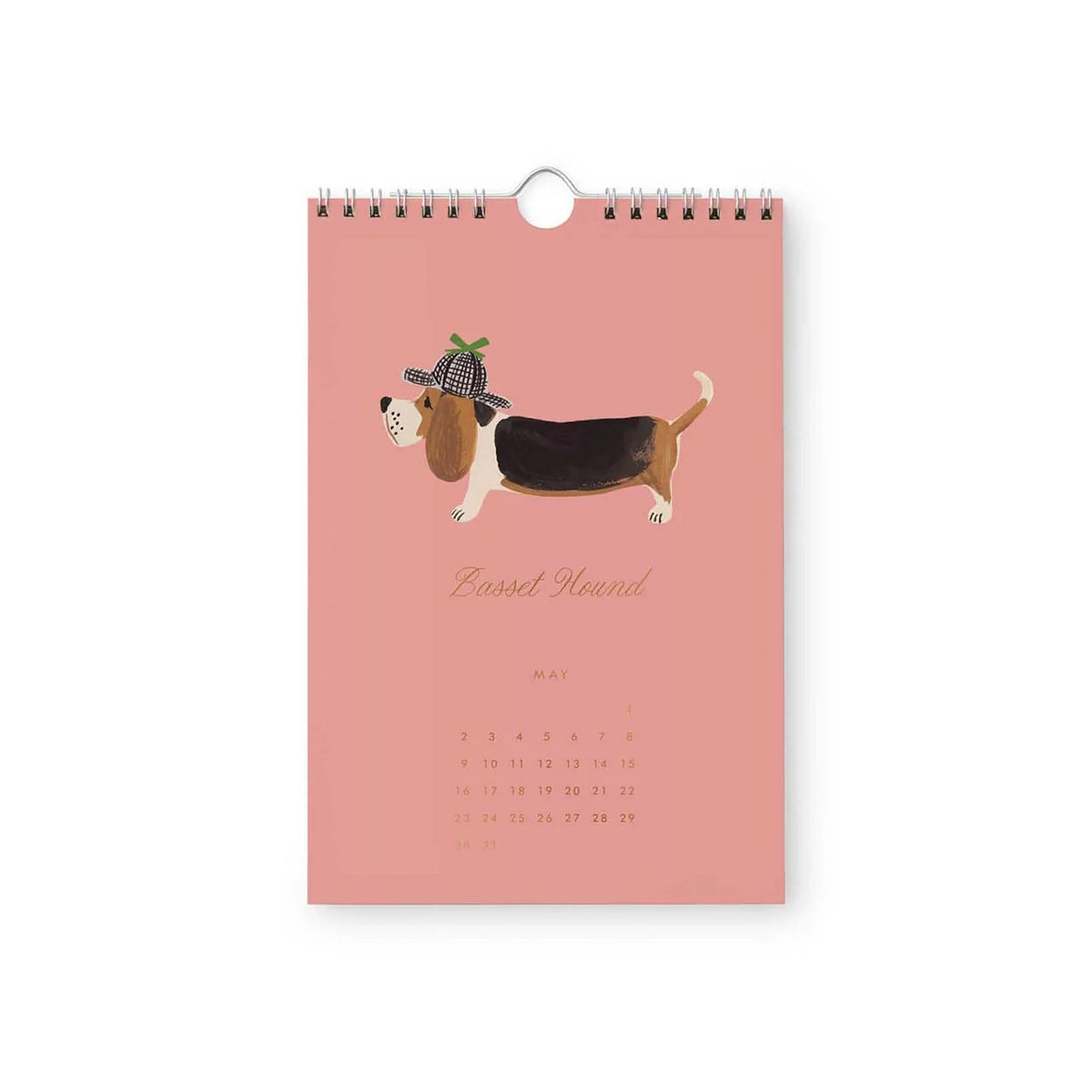 2027 Dog of the Month Kitchen Calendar