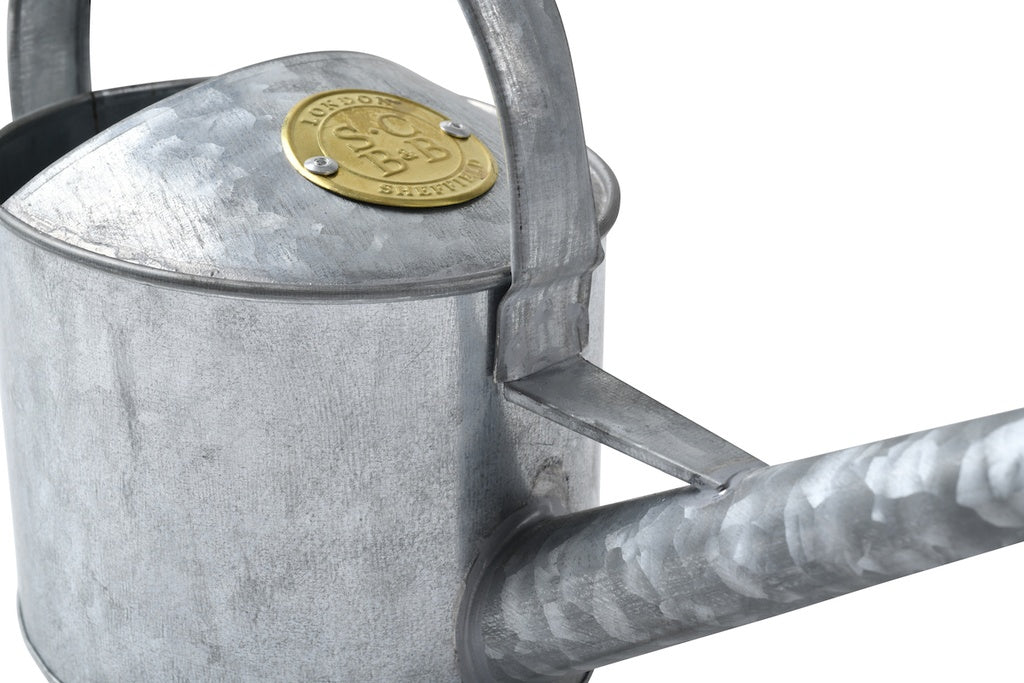Sophie Conran Galvanised Watering Can