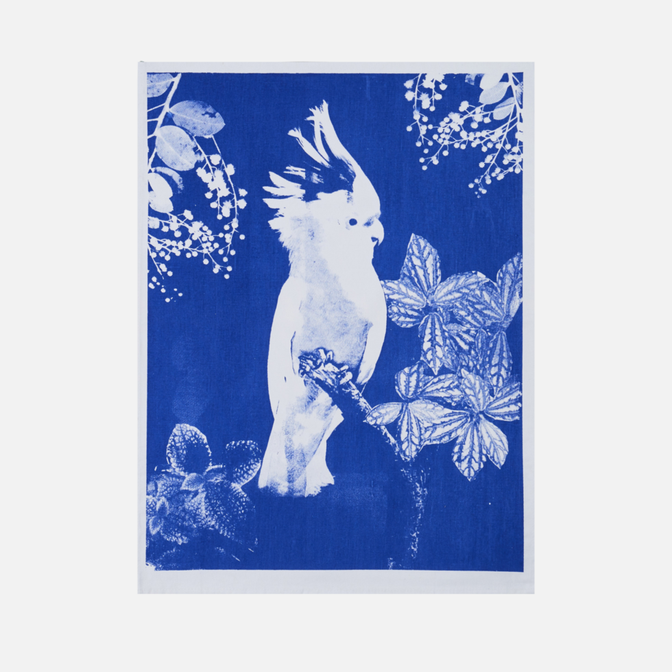 Big Major Blue Tea Towel