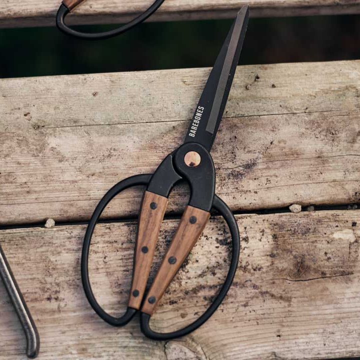 Walnut Scissors Large