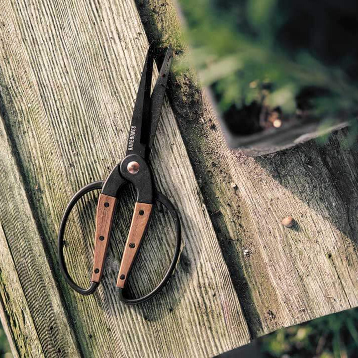 Walnut Scissors Large