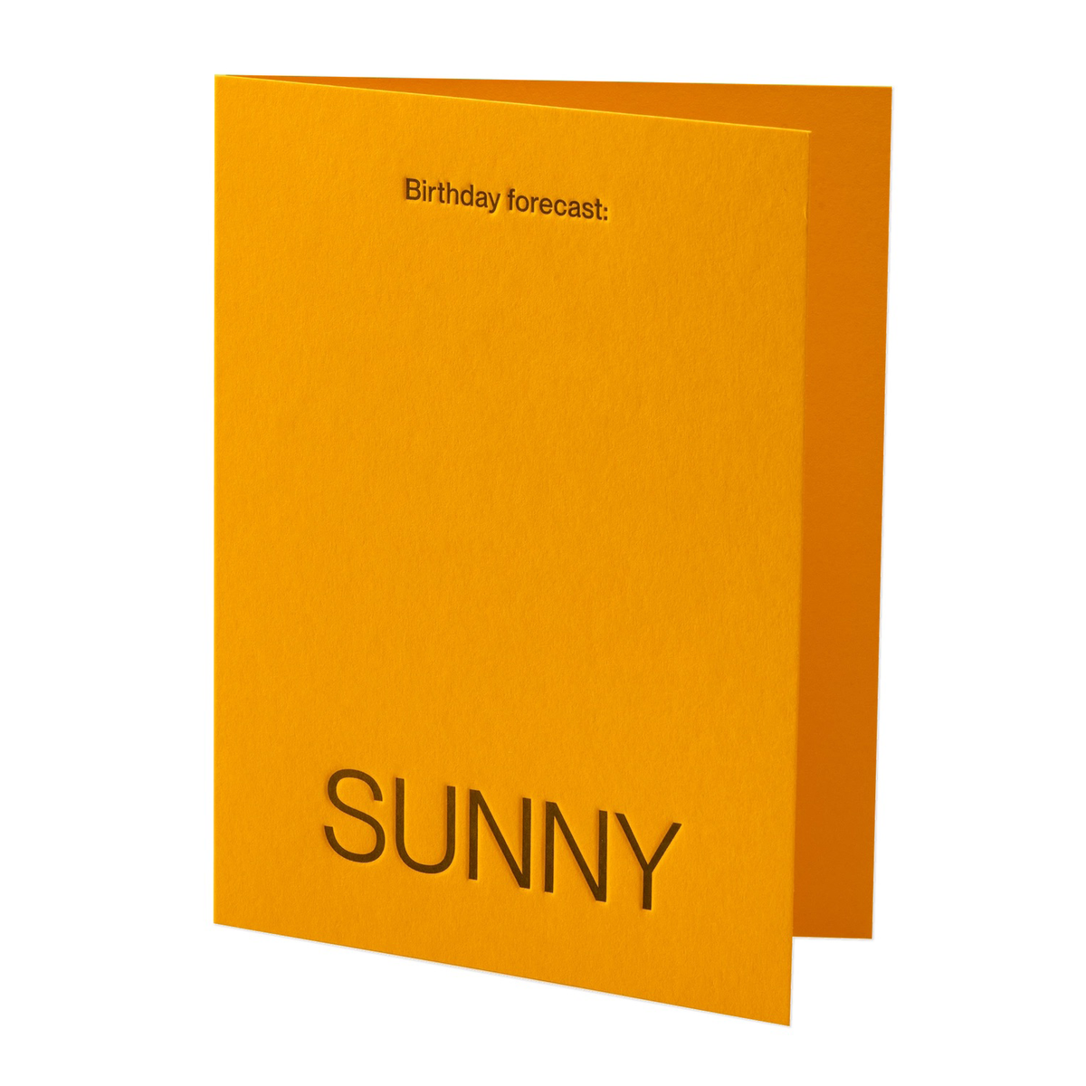 Greeting Card / Birthday Forecast