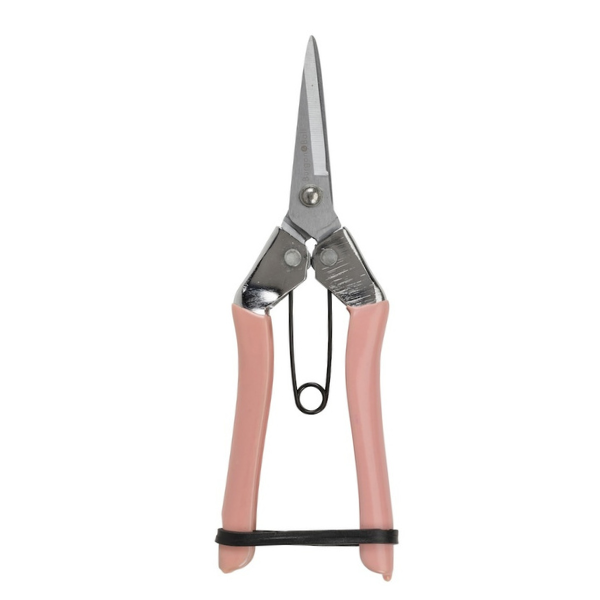Collector Fruit and Flower Snips / Blush