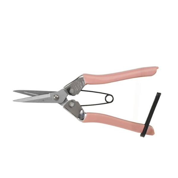 Collector Fruit and Flower Snips / Blush