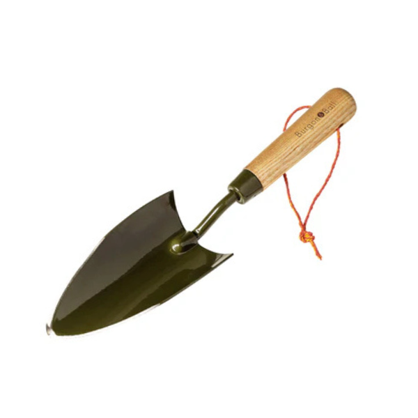 Boron Green Hand Trowel